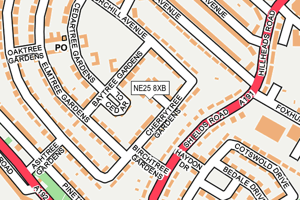 NE25 8XB map - OS OpenMap – Local (Ordnance Survey)