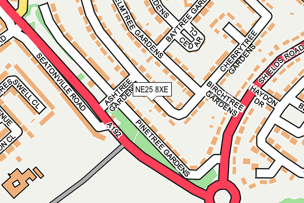 NE25 8XE map - OS OpenMap – Local (Ordnance Survey)