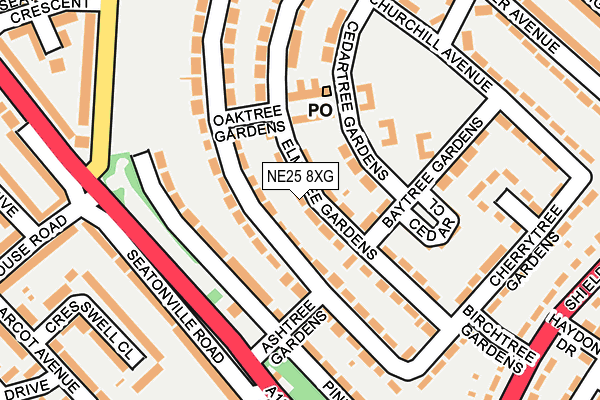 NE25 8XG map - OS OpenMap – Local (Ordnance Survey)
