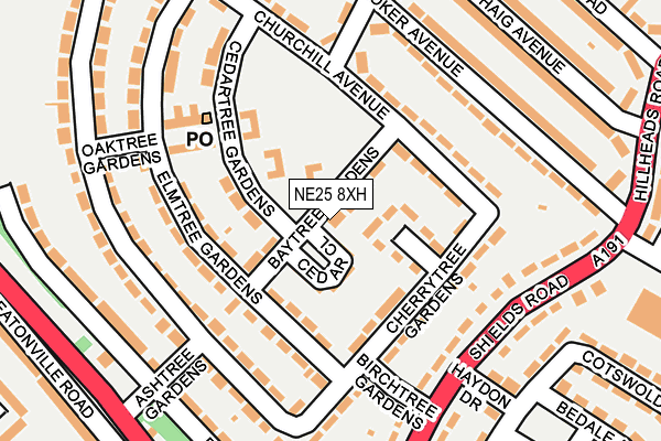 NE25 8XH map - OS OpenMap – Local (Ordnance Survey)