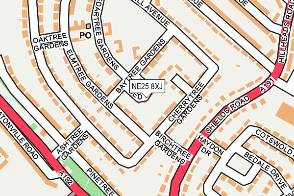 NE25 8XJ map - OS OpenMap – Local (Ordnance Survey)
