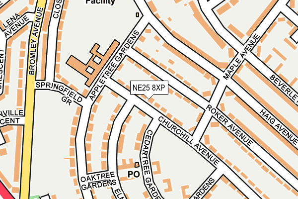 NE25 8XP map - OS OpenMap – Local (Ordnance Survey)