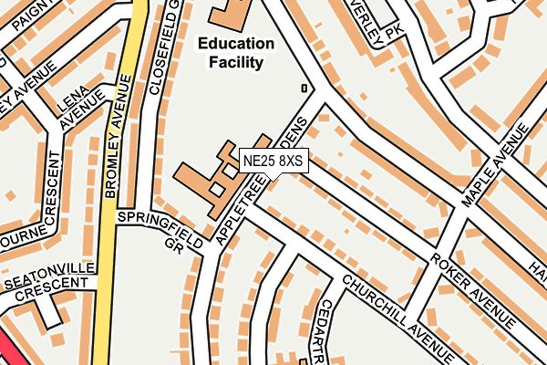 NE25 8XS map - OS OpenMap – Local (Ordnance Survey)