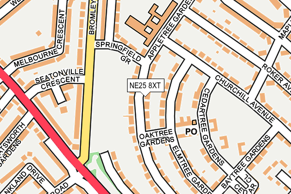 NE25 8XT map - OS OpenMap – Local (Ordnance Survey)