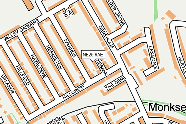 NE25 9AE map - OS OpenMap – Local (Ordnance Survey)