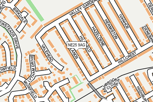NE25 9AG map - OS OpenMap – Local (Ordnance Survey)