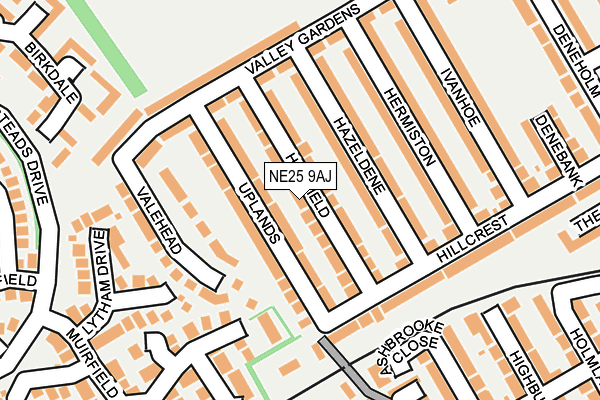 NE25 9AJ map - OS OpenMap – Local (Ordnance Survey)