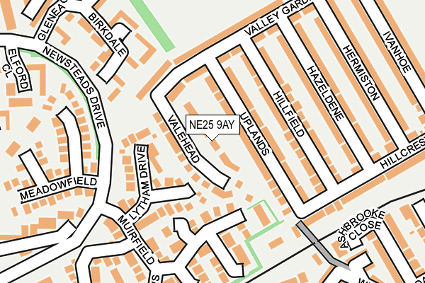 NE25 9AY map - OS OpenMap – Local (Ordnance Survey)