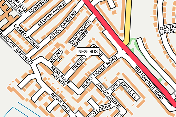 NE25 9DS map - OS OpenMap – Local (Ordnance Survey)