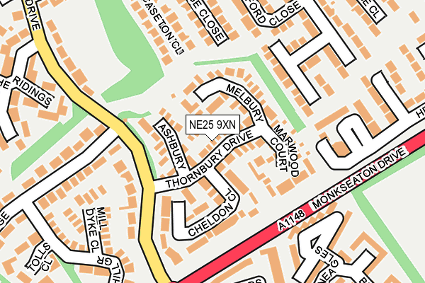 NE25 9XN map - OS OpenMap – Local (Ordnance Survey)