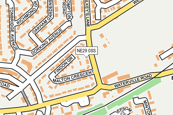 NE29 0SS map - OS OpenMap – Local (Ordnance Survey)
