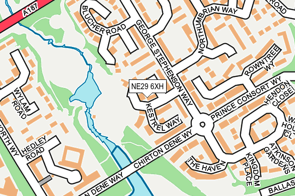 NE29 6XH map - OS OpenMap – Local (Ordnance Survey)