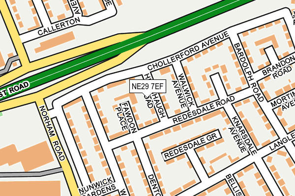 NE29 7EF map - OS OpenMap – Local (Ordnance Survey)