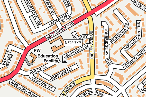 NE29 7XP map - OS OpenMap – Local (Ordnance Survey)