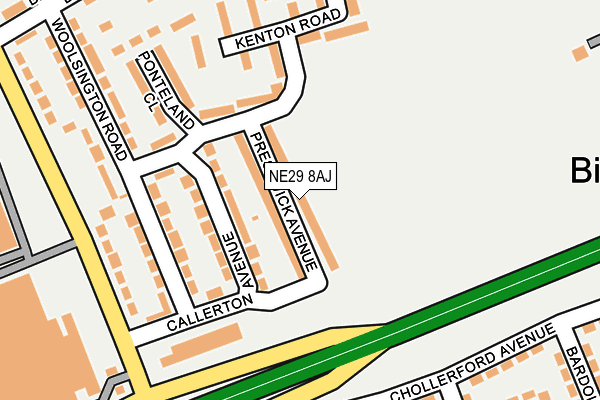 NE29 8AJ map - OS OpenMap – Local (Ordnance Survey)