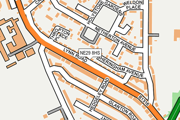 NE29 8HS map - OS OpenMap – Local (Ordnance Survey)