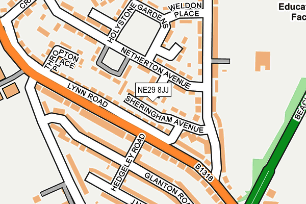 NE29 8JJ map - OS OpenMap – Local (Ordnance Survey)