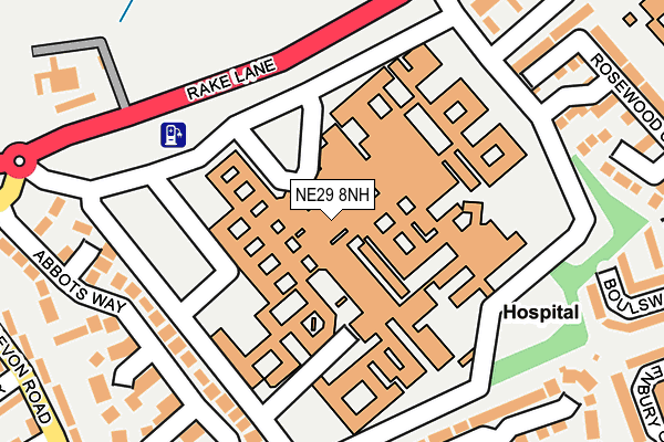 NE29 8NH map - OS OpenMap – Local (Ordnance Survey)