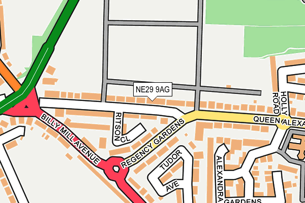 NE29 9AG map - OS OpenMap – Local (Ordnance Survey)