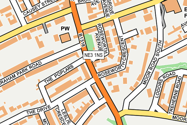 NE3 1NS map - OS OpenMap – Local (Ordnance Survey)
