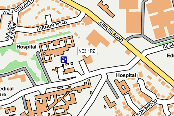 NE3 1PZ map - OS OpenMap – Local (Ordnance Survey)