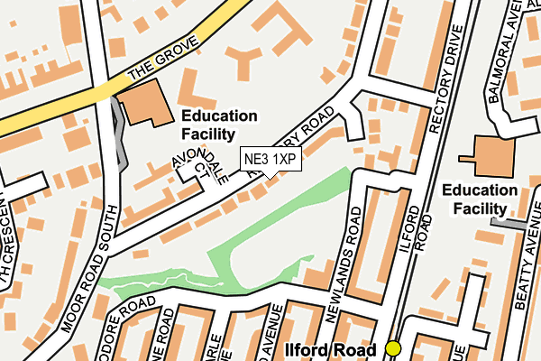 NE3 1XP map - OS OpenMap – Local (Ordnance Survey)