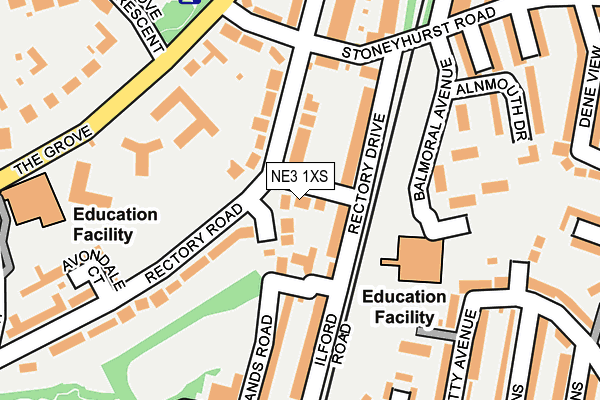 NE3 1XS map - OS OpenMap – Local (Ordnance Survey)