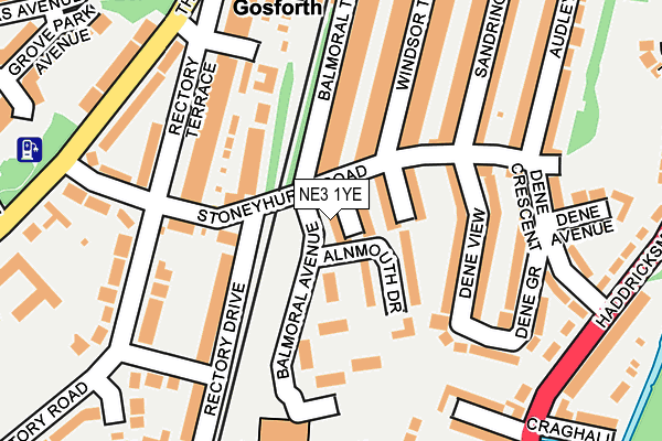NE3 1YE map - OS OpenMap – Local (Ordnance Survey)