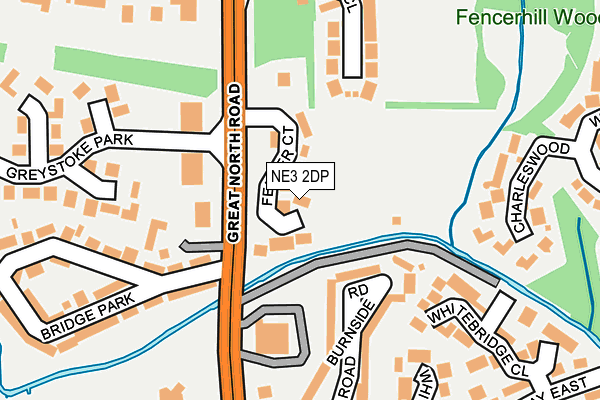NE3 2DP map - OS OpenMap – Local (Ordnance Survey)