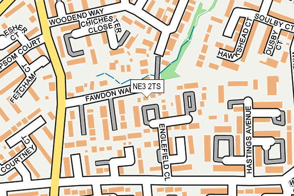 NE3 2TS map - OS OpenMap – Local (Ordnance Survey)