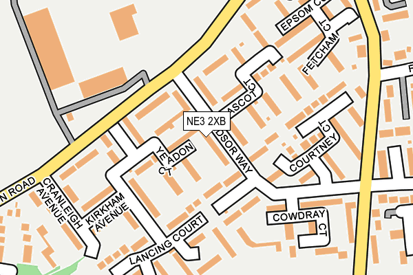NE3 2XB map - OS OpenMap – Local (Ordnance Survey)