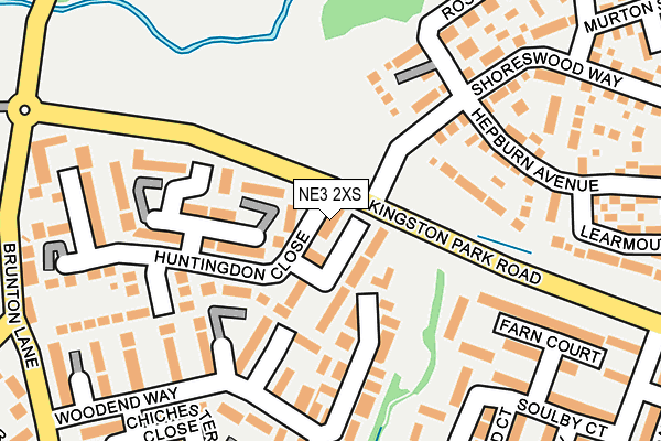NE3 2XS map - OS OpenMap – Local (Ordnance Survey)