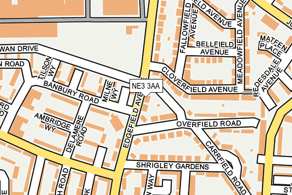 NE3 3AA map - OS OpenMap – Local (Ordnance Survey)