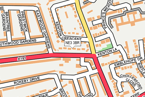 NE3 3BR map - OS OpenMap – Local (Ordnance Survey)