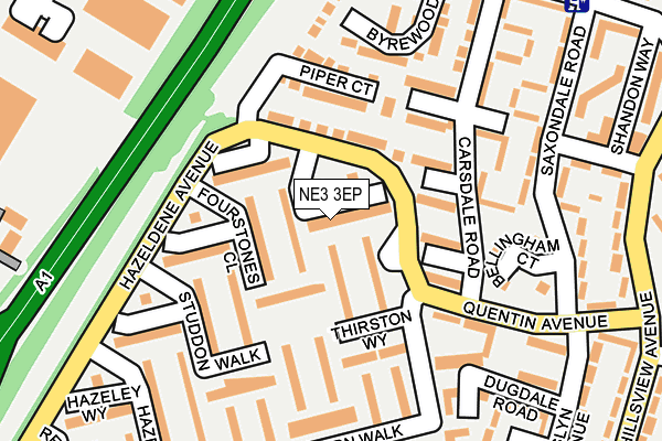 NE3 3EP map - OS OpenMap – Local (Ordnance Survey)