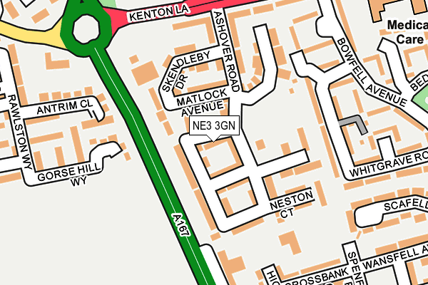 NE3 3GN map - OS OpenMap – Local (Ordnance Survey)