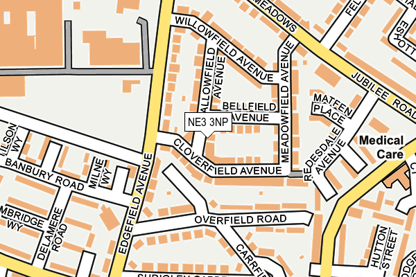 NE3 3NP map - OS OpenMap – Local (Ordnance Survey)