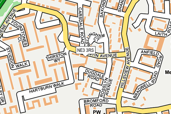 NE3 3RS map - OS OpenMap – Local (Ordnance Survey)