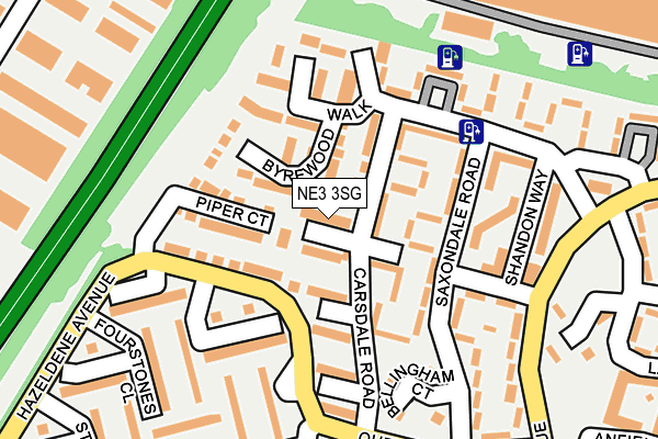 NE3 3SG map - OS OpenMap – Local (Ordnance Survey)
