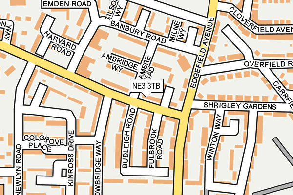 NE3 3TB map - OS OpenMap – Local (Ordnance Survey)