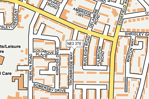 NE3 3TE map - OS OpenMap – Local (Ordnance Survey)