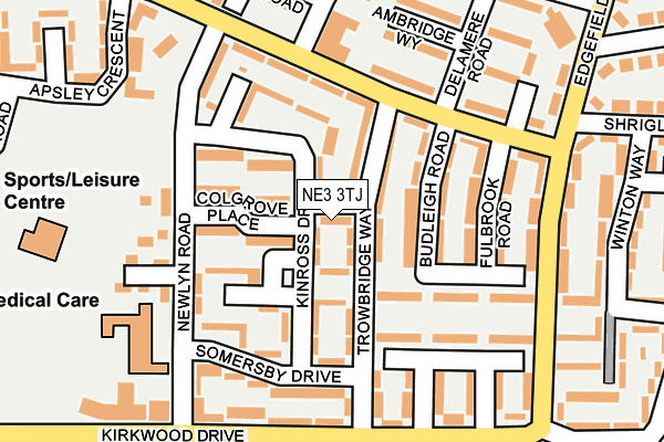 NE3 3TJ map - OS OpenMap – Local (Ordnance Survey)