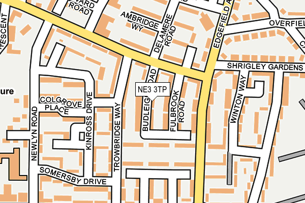 NE3 3TP map - OS OpenMap – Local (Ordnance Survey)