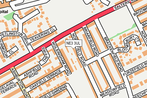 NE3 3UL map - OS OpenMap – Local (Ordnance Survey)