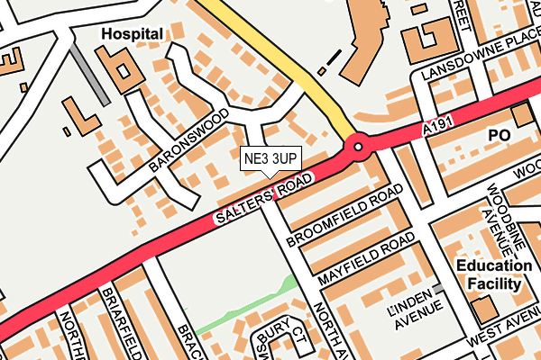 NE3 3UP map - OS OpenMap – Local (Ordnance Survey)