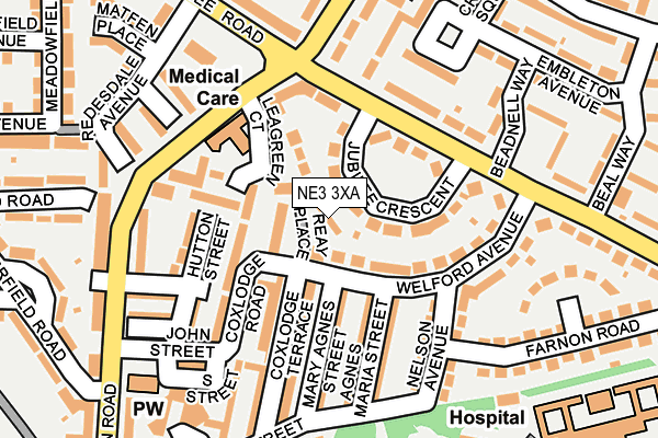 NE3 3XA map - OS OpenMap – Local (Ordnance Survey)