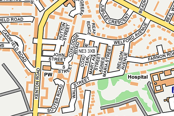 NE3 3XB map - OS OpenMap – Local (Ordnance Survey)
