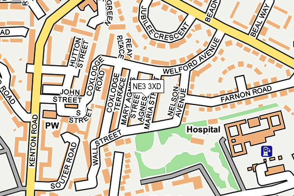 NE3 3XD map - OS OpenMap – Local (Ordnance Survey)