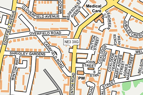 NE3 3XG map - OS OpenMap – Local (Ordnance Survey)