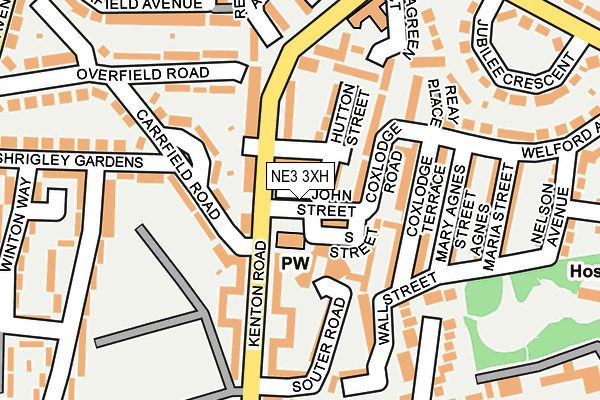 NE3 3XH map - OS OpenMap – Local (Ordnance Survey)